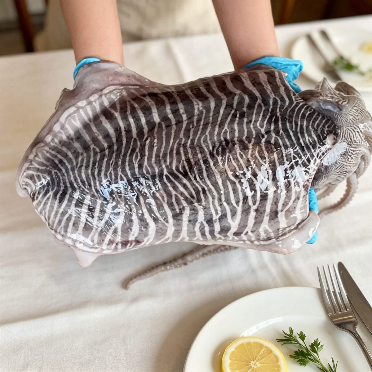 Frozen Wild-Caught Giant Cuttlefish