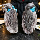 Frozen Wild-Caught Giant Cuttlefish