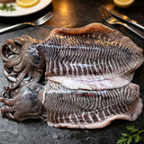 Frozen Wild-Caught Giant Cuttlefish